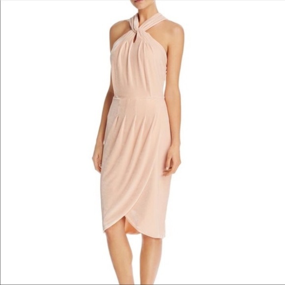cupcakes & cashmere Dresses & Skirts - NWOT Cupcakes and Cashmere Blush Velvet Midi Dress